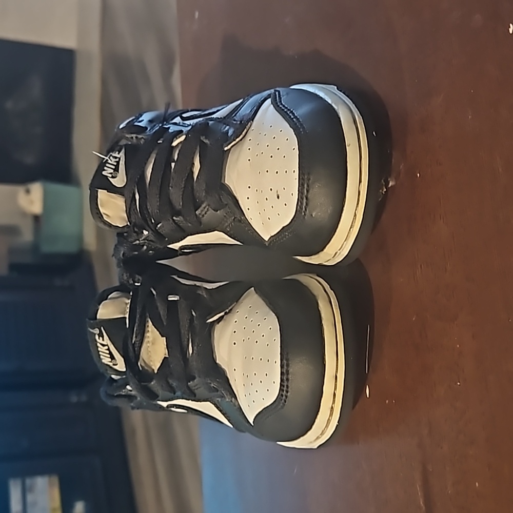 Nike Panda's